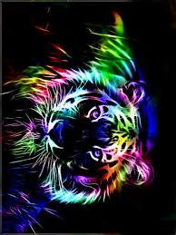 tiger colours